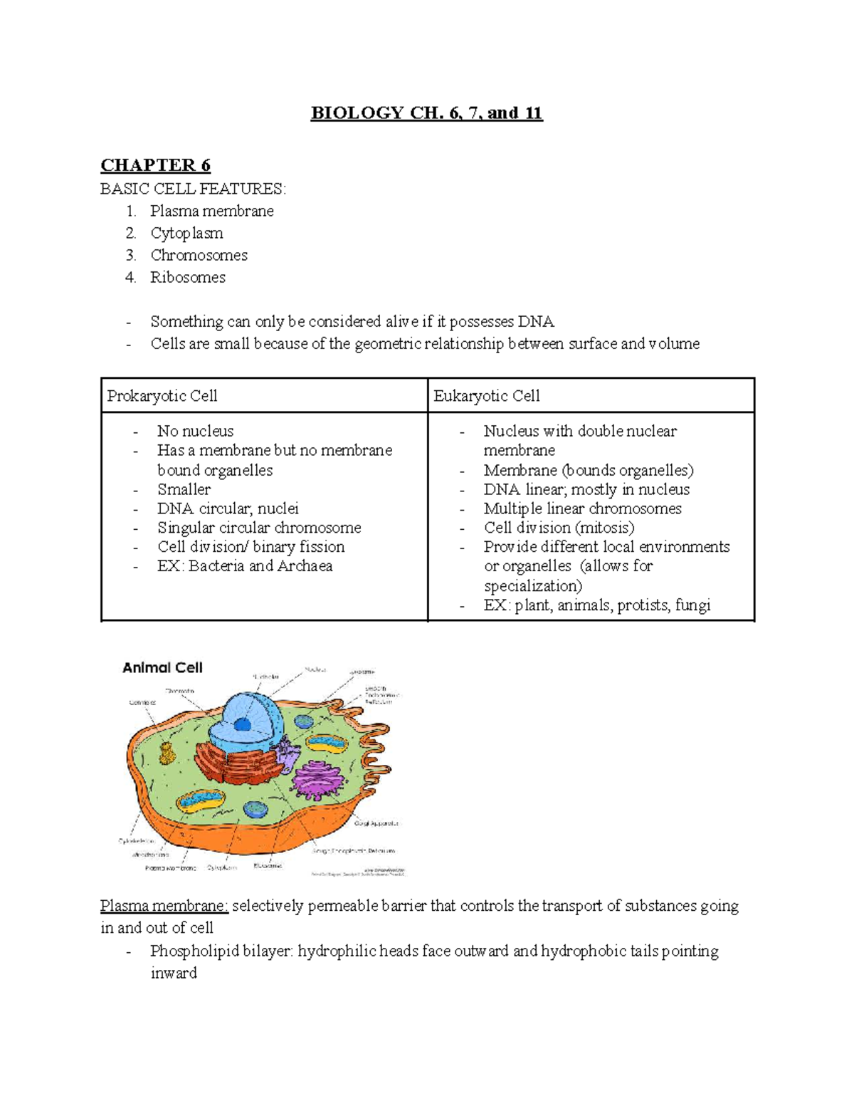Biology 101: Ch. 6, 7, & 11 - Cell Structure & Function Notes - Studocu