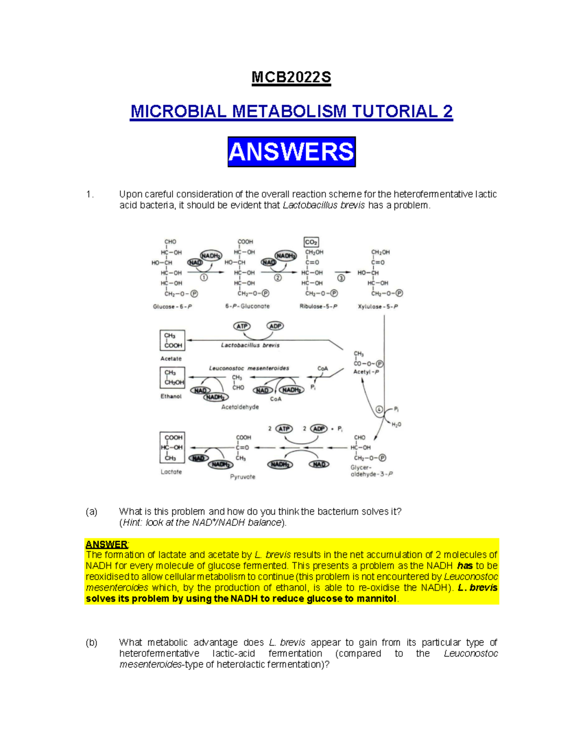 MCB2022S Microbial Metabolism Tutorial 2 Answers and Explanations - Studocu