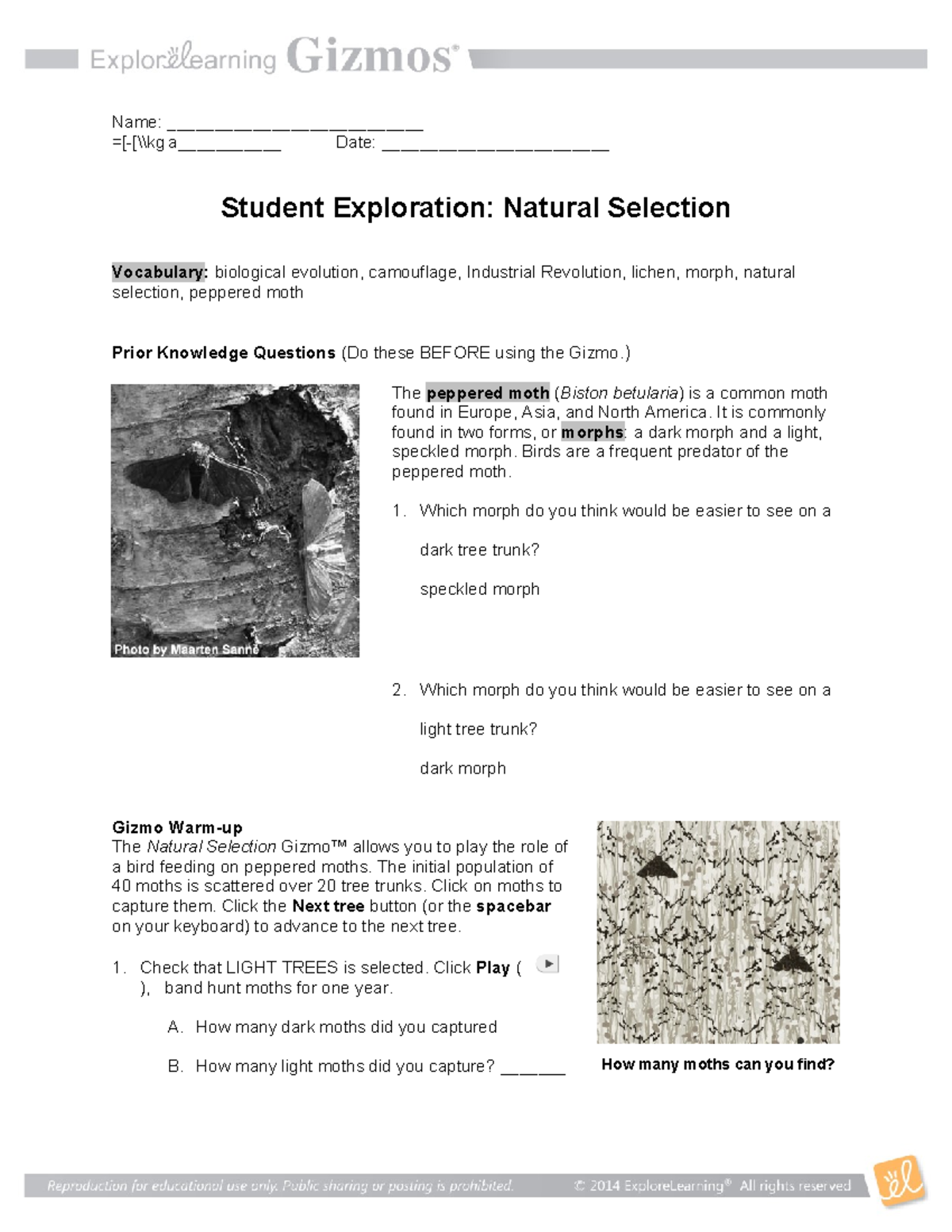 Student Exploration: Natural Selection (Biology 101) - Studocu