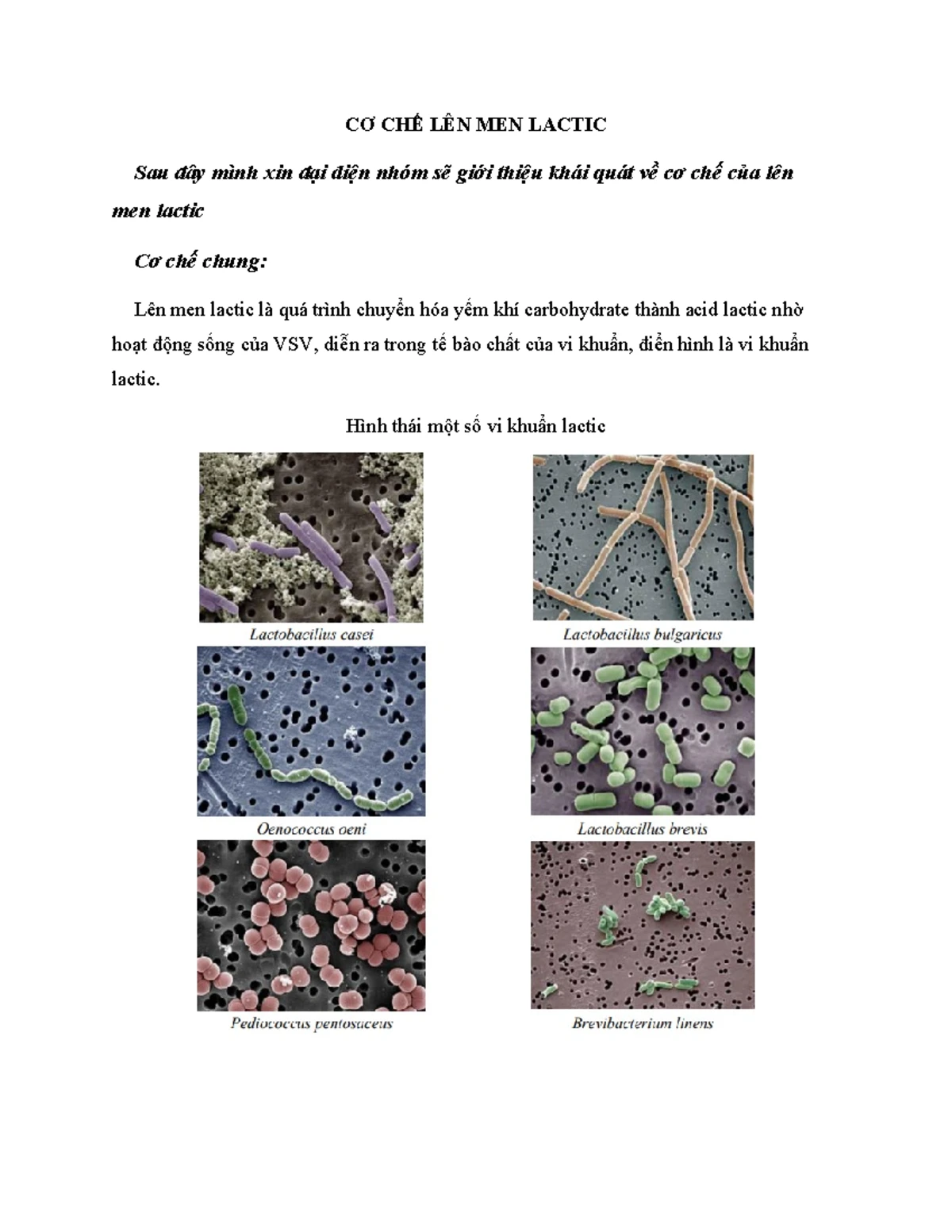 Sinh - sinh học - công nghệ sinh học - Ngay 2 nuro Ngay 2: GA GA ngay 2 ...