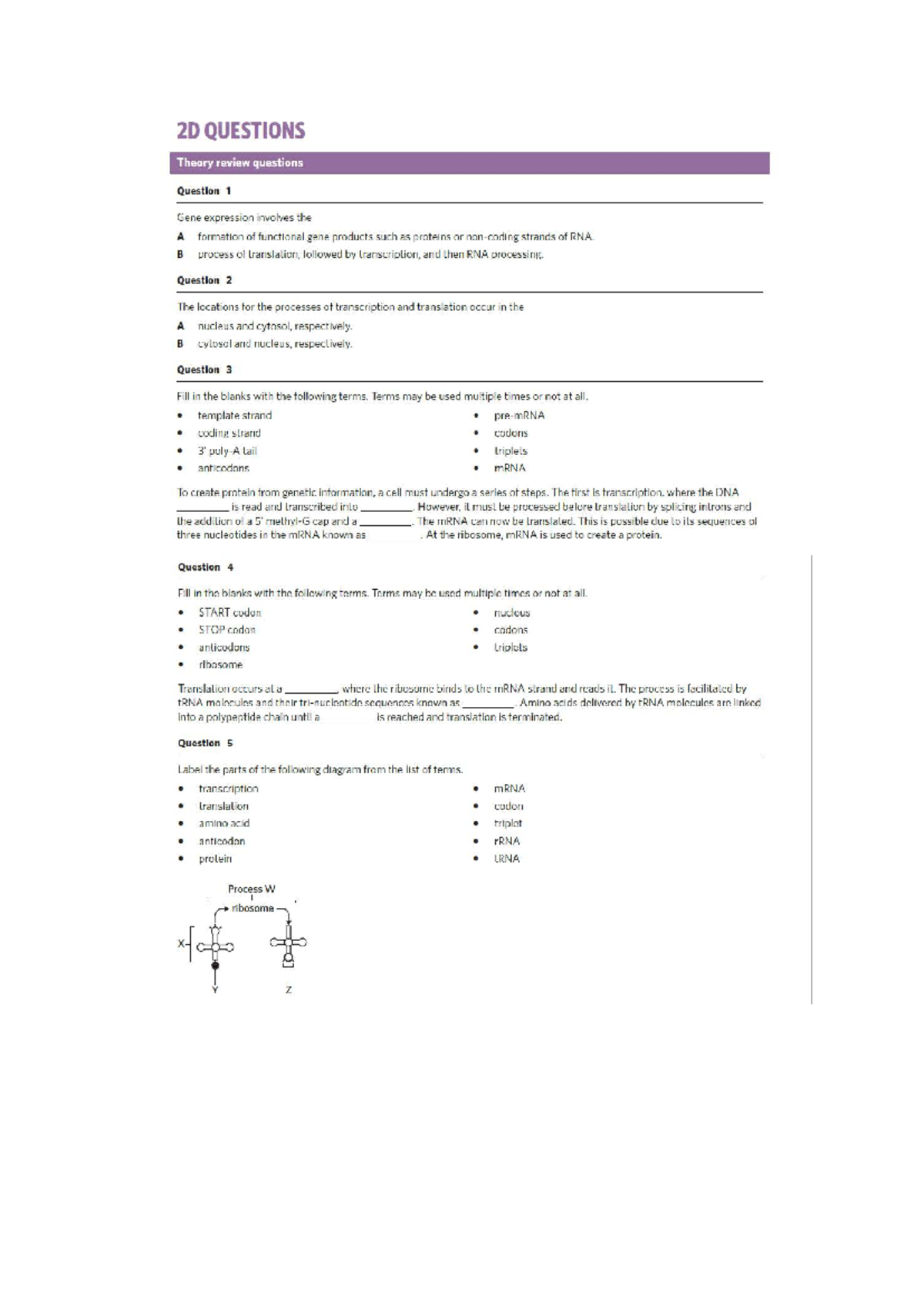 2D - Gene Expression and Regulation Theory Review Questions - Studocu