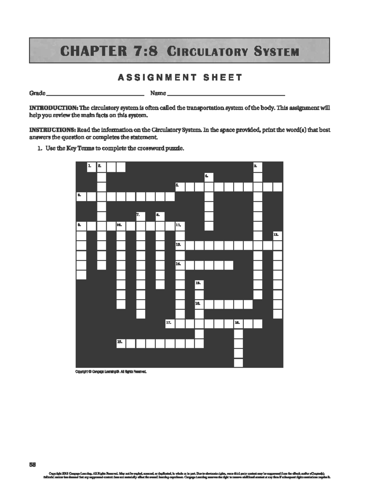 DHO Circulatory Worksheet - Studocu
