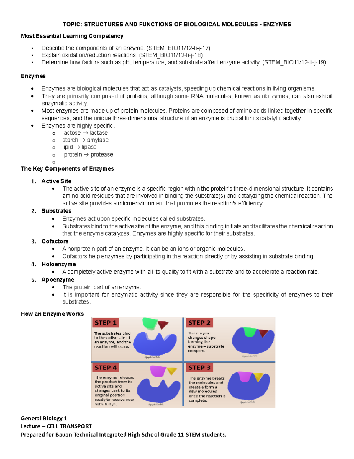 General Biology 1: Enzymes Lecture Notes (STEM_BIO11/12) - Studocu