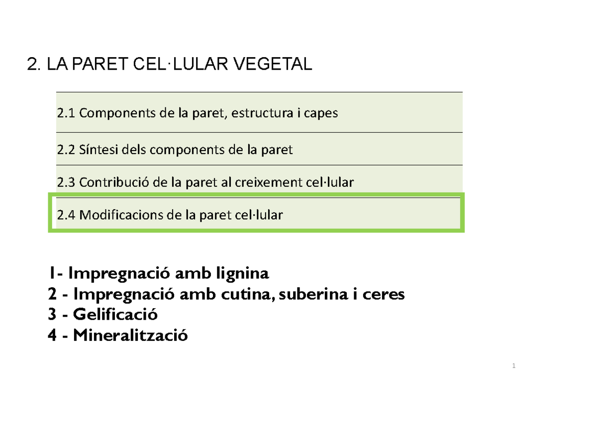 Modificacions de la Paret Cel·lular Vegetal: Components i Funcions ...