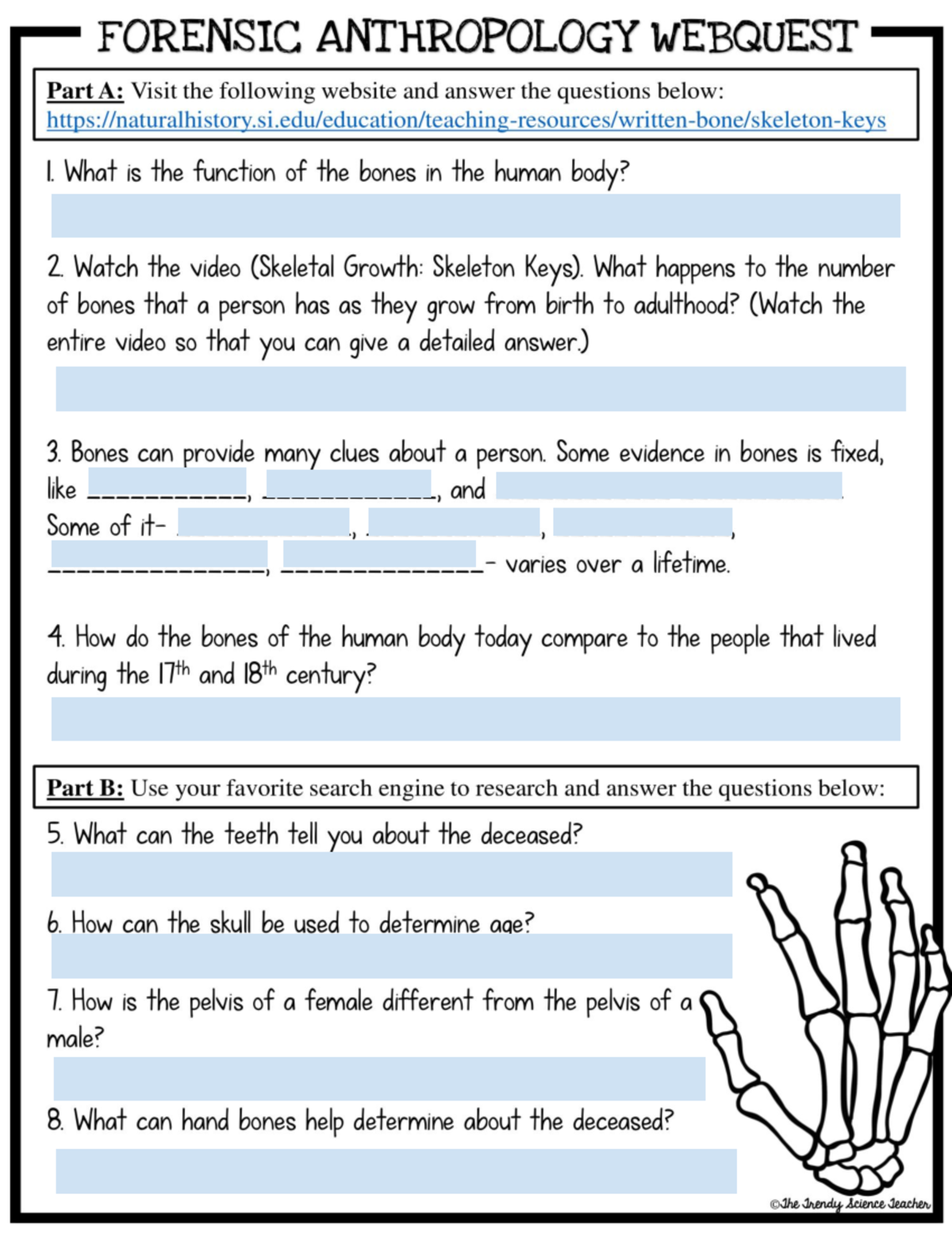 Forensic Anthropology Webquest: Key Concepts and Insights - Studocu