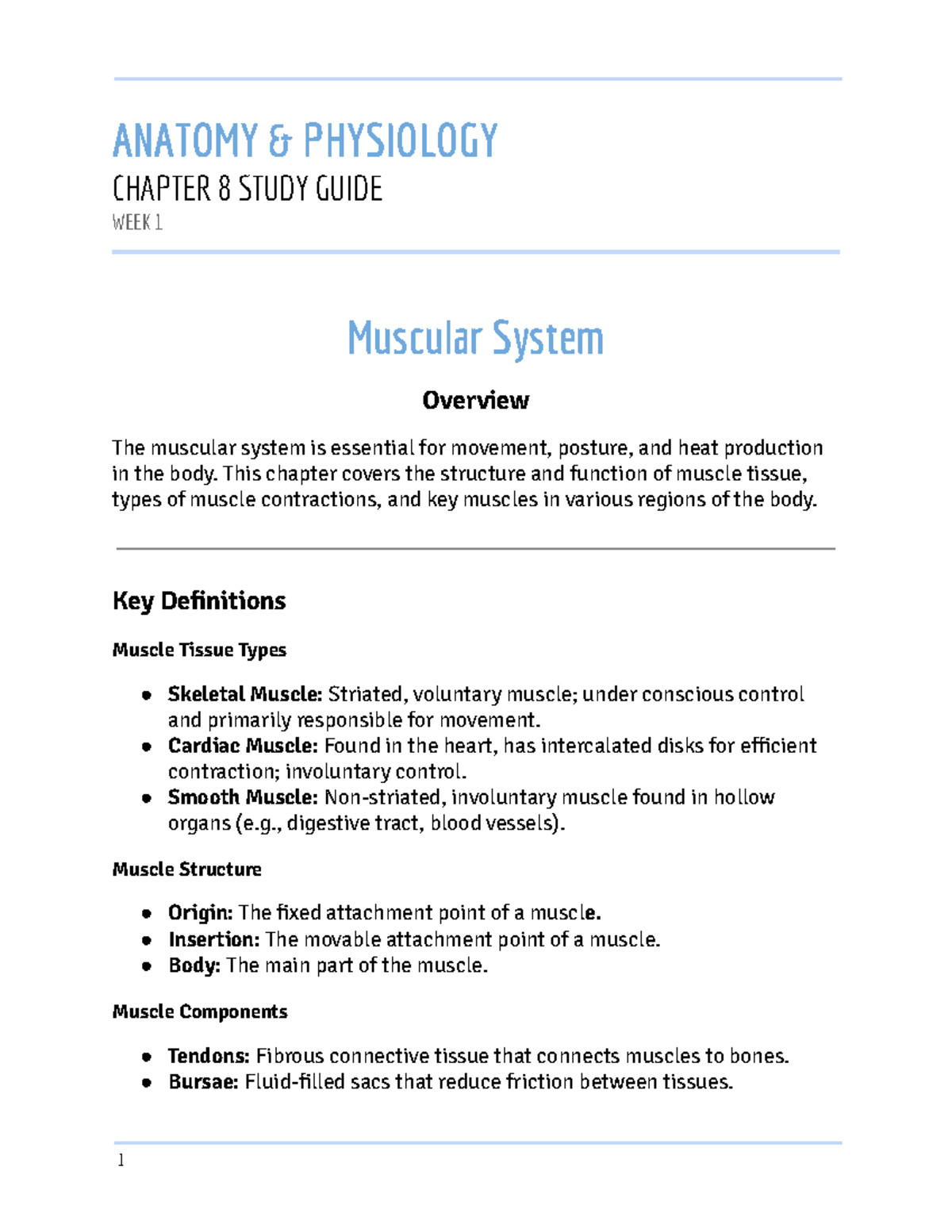Anatomy & Physiology: Chapter 8 Muscular System Study Notes - Studocu