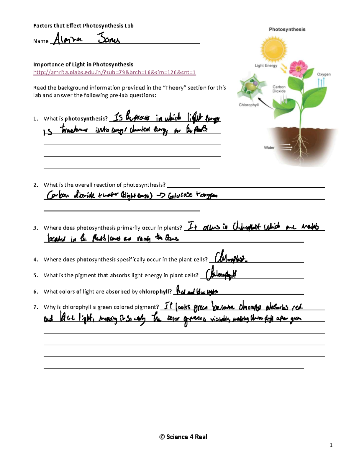 Factors Affecting Photosynthesis Lab - Studocu