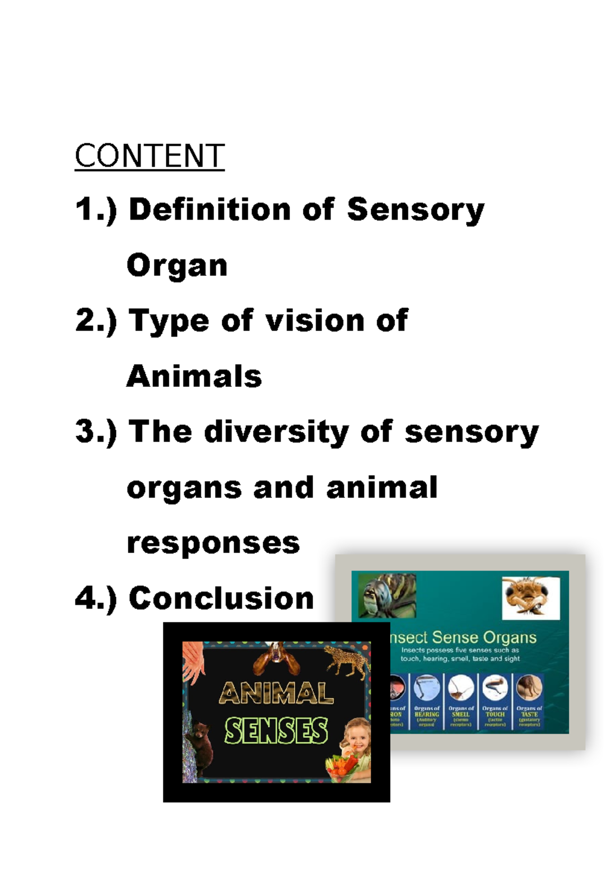 Science Folio - hope can help u all - CONTENT 1.) Definition of Sensory ...