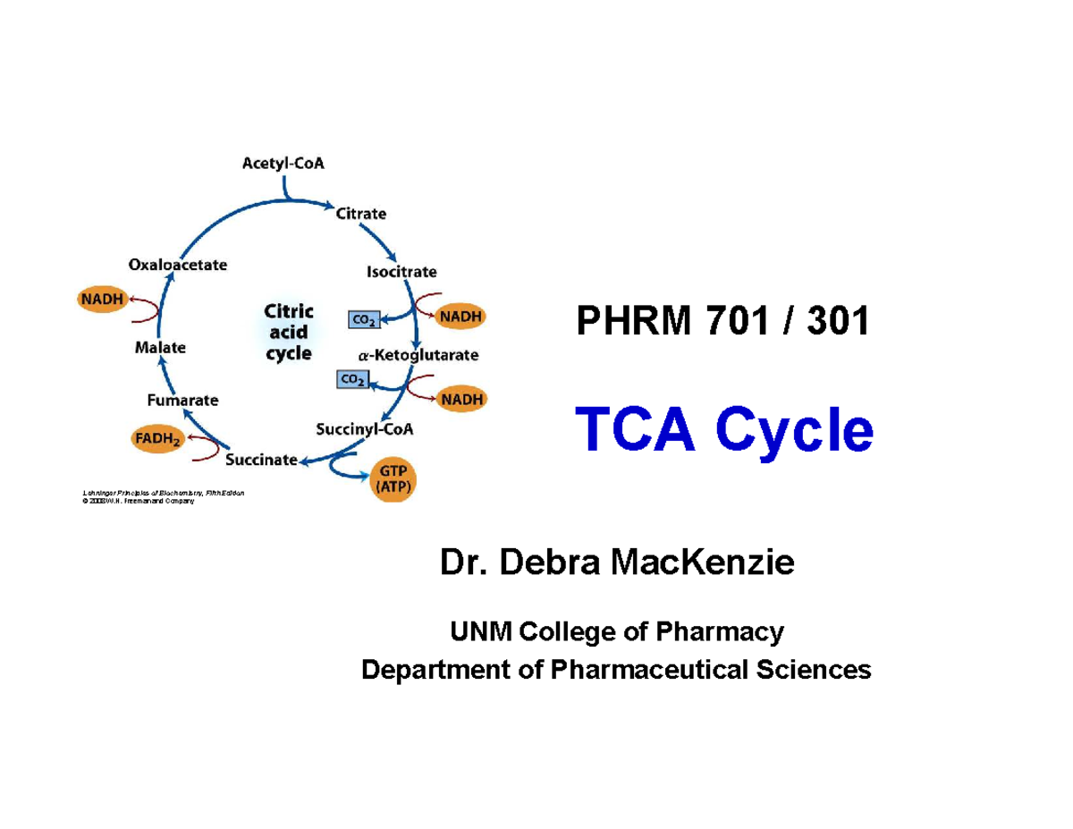 TCA Cycle Overview and Regulation - PHRM 701/301 Lecture Notes - Studocu