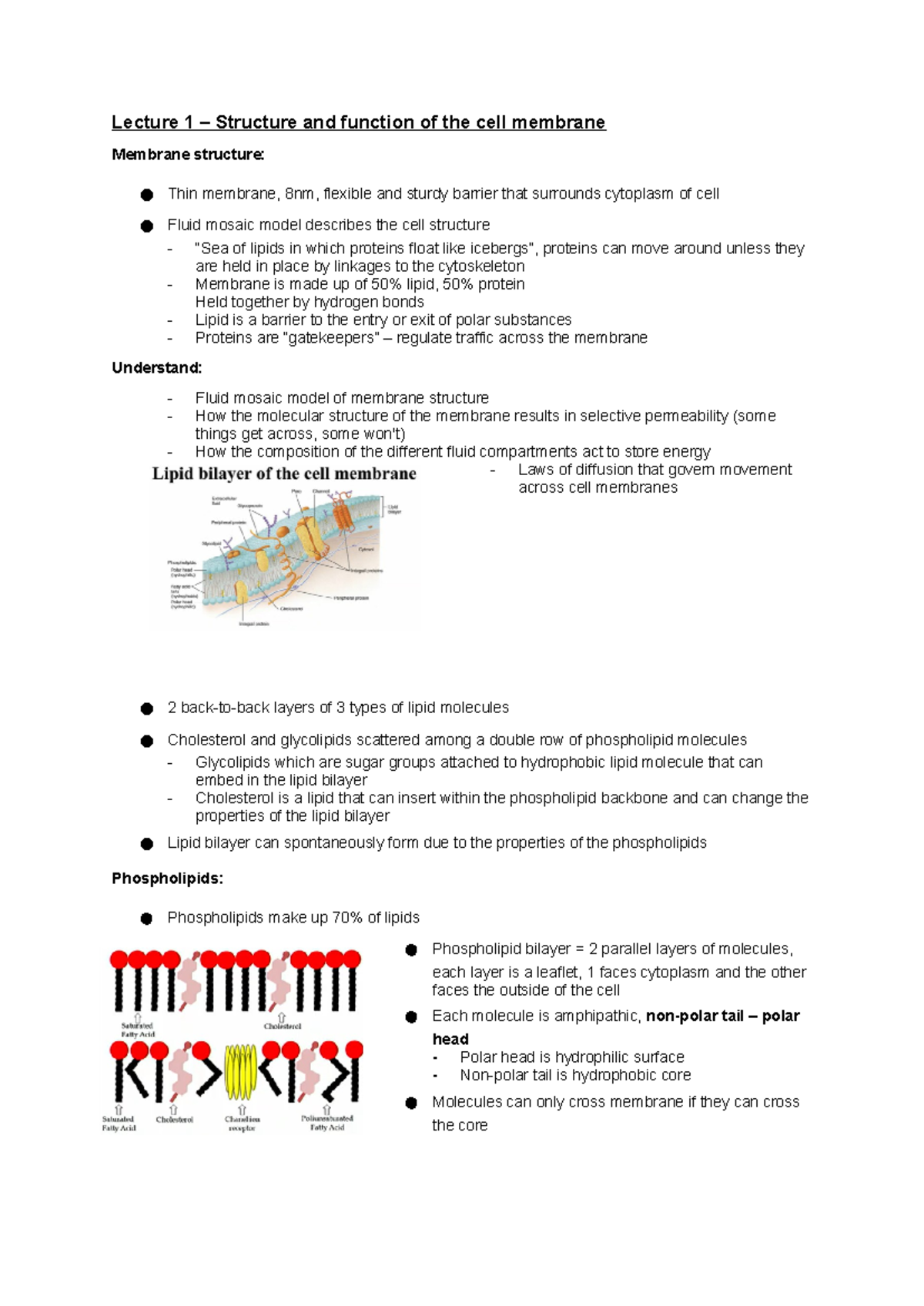 Cell Processes (BIO101): Membrane Structure and Transport Mechanisms ...