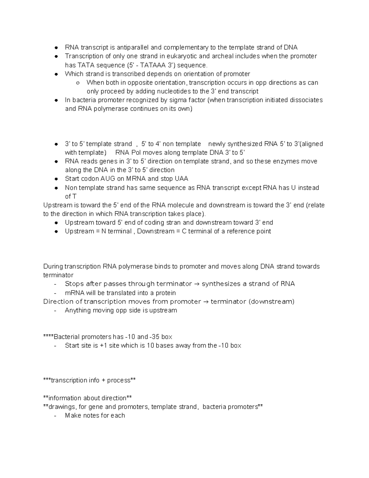 MLM 2-2: RNA Transcription Process and Template Strand Notes - Studocu