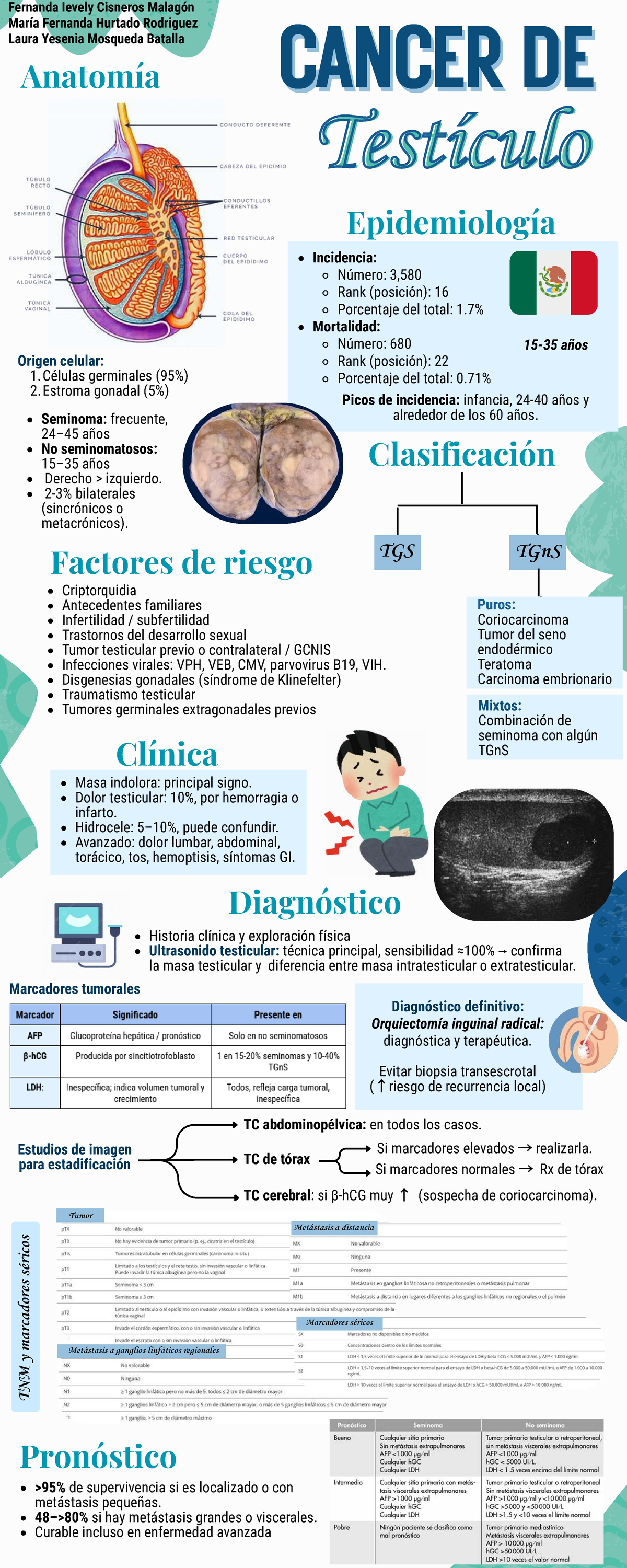 Cáncer De Testículo: Causas, Síntomas Y Tratamientos – TGWB