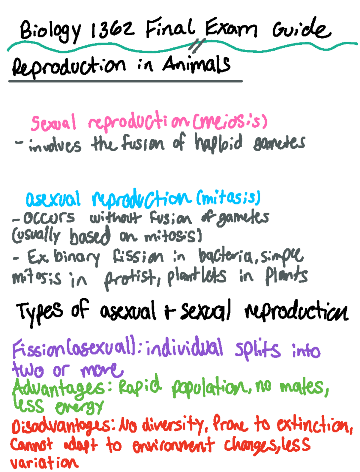 Final Exam Guide - Professor Cheek - Deprecated API usage: The SVG back ...