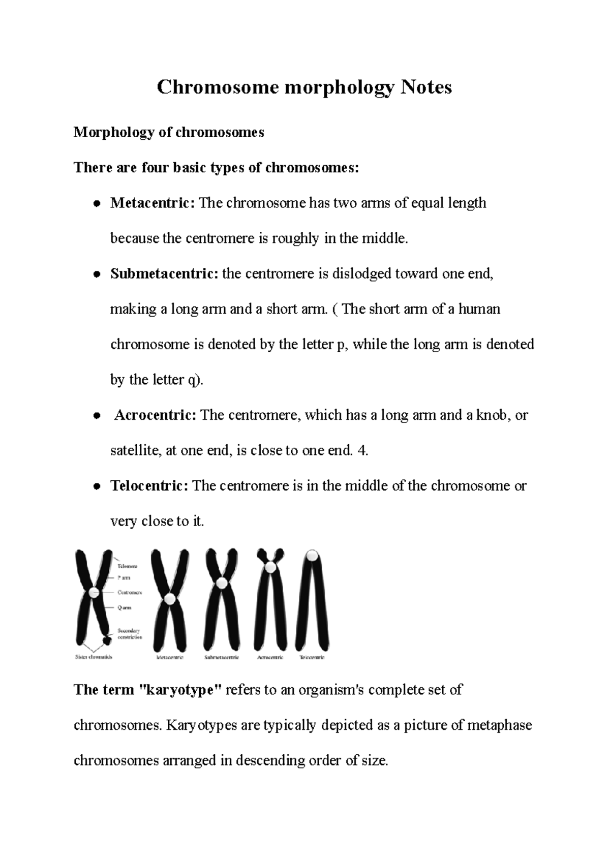 Chromosome morphology Notes - Chromosome morphology Notes Morphology of ...