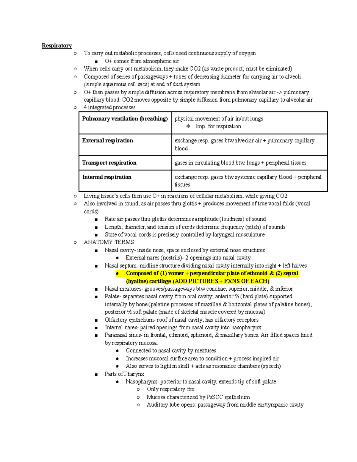 Respiratory Anatomy & Physiology Lab Study Guide 2 - Lab Notes - Studocu