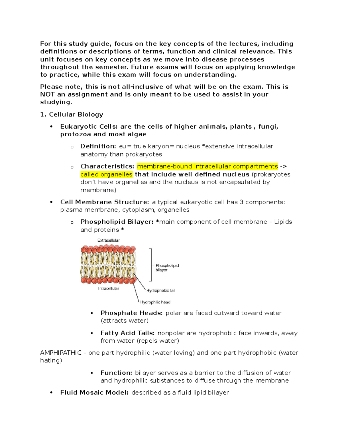 Exam 1 Study Guide - Key Concepts in Cellular Biology and Function ...
