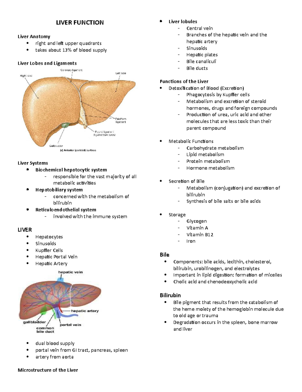 Liver Function Study Guide: Anatomy, Metabolism & Diseases Overview ...