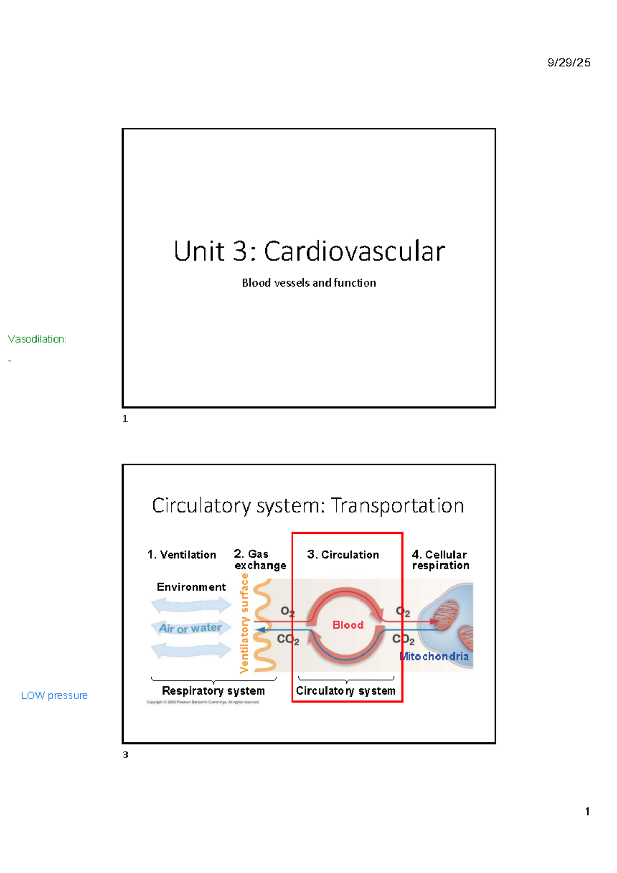 IB303_Lecture 11: Blood Vessels and Cardiovascular Function Overview ...