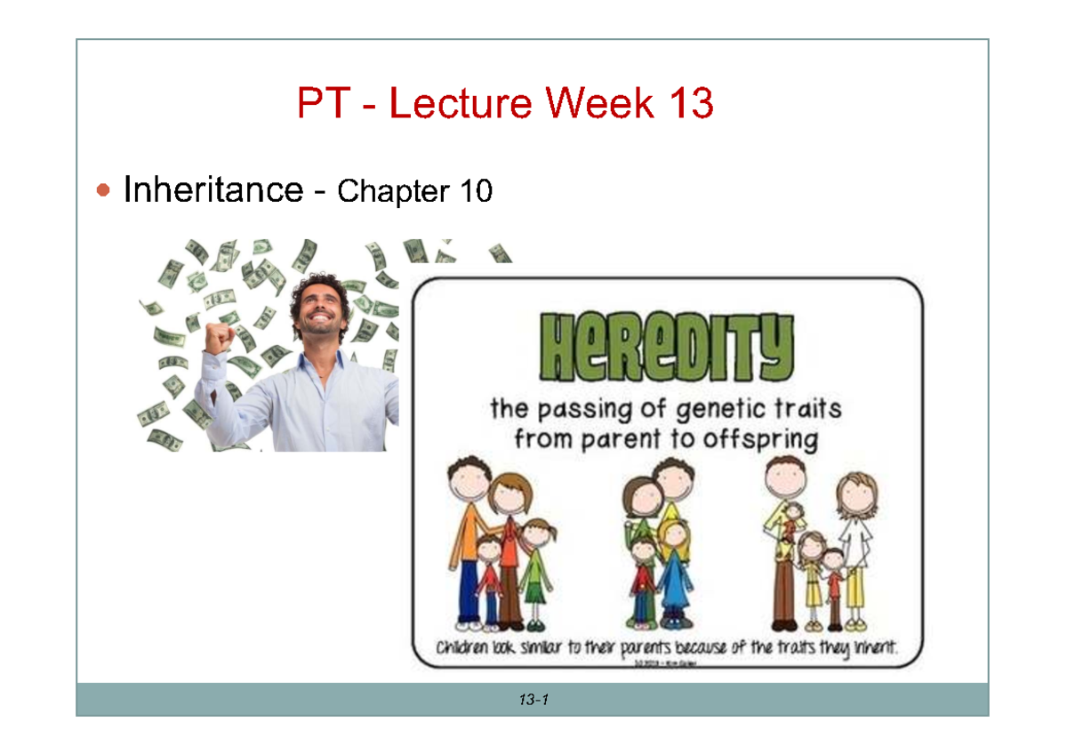 PT Lecture Week 13: Inheritance & Employee Class Overview - Studocu