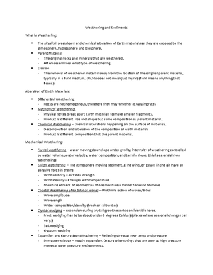 Sedimentary Rocks - Prof. Turner. Textbook and Lecture Notes ...