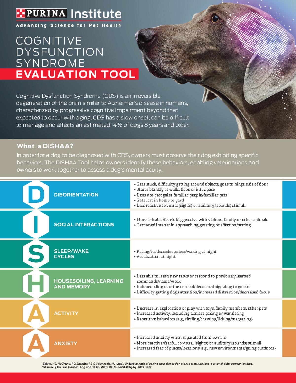 DISHAA Canine Cognitive Dysfunction Assessment Tool: A Guide for Owners ...