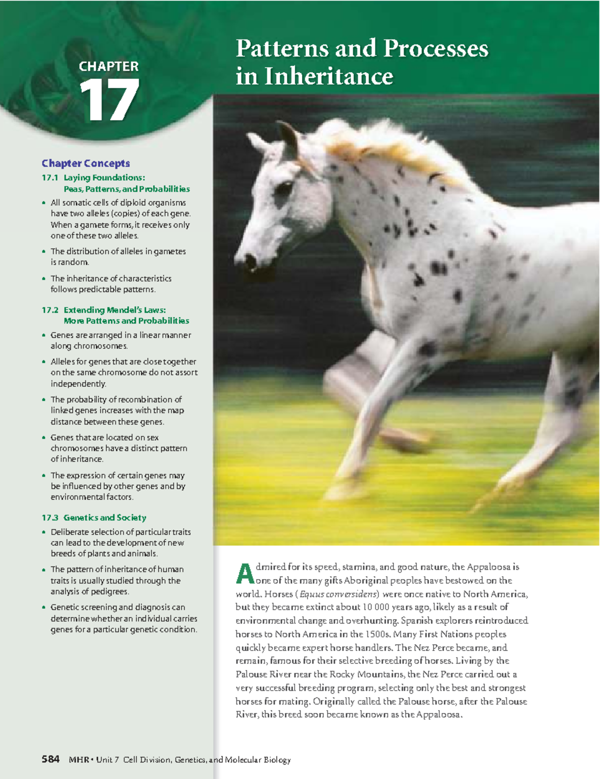 CHAPTER 17 Patterns and Processes in Inheritance: Key Concepts and ...