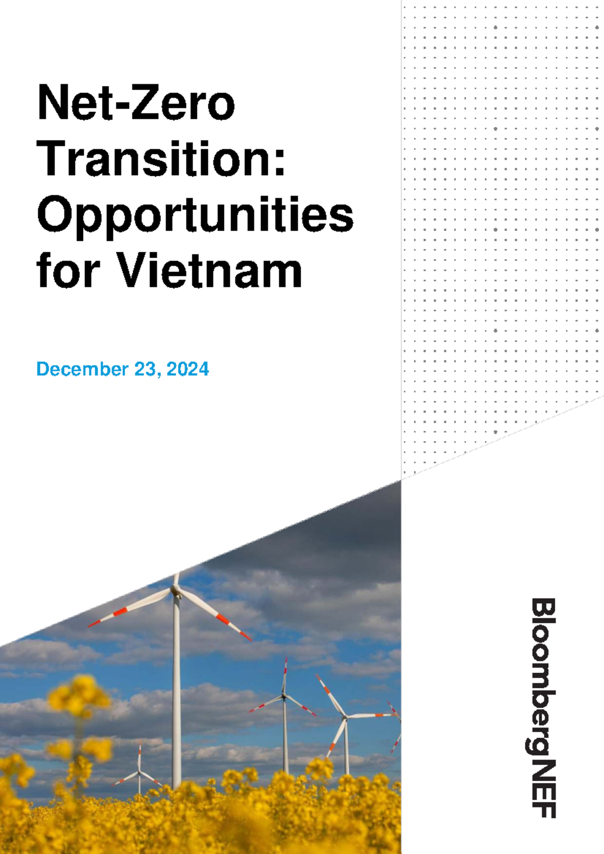 Net Zero Transition Opportunities for Vietnam (2024) - Studocu