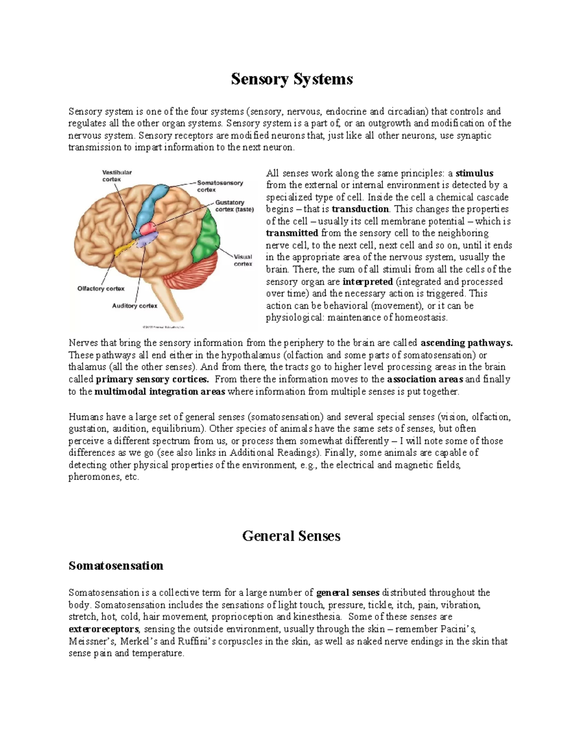 Sensory Systems (BIO 101) - Comprehensive Study Notes - Studocu