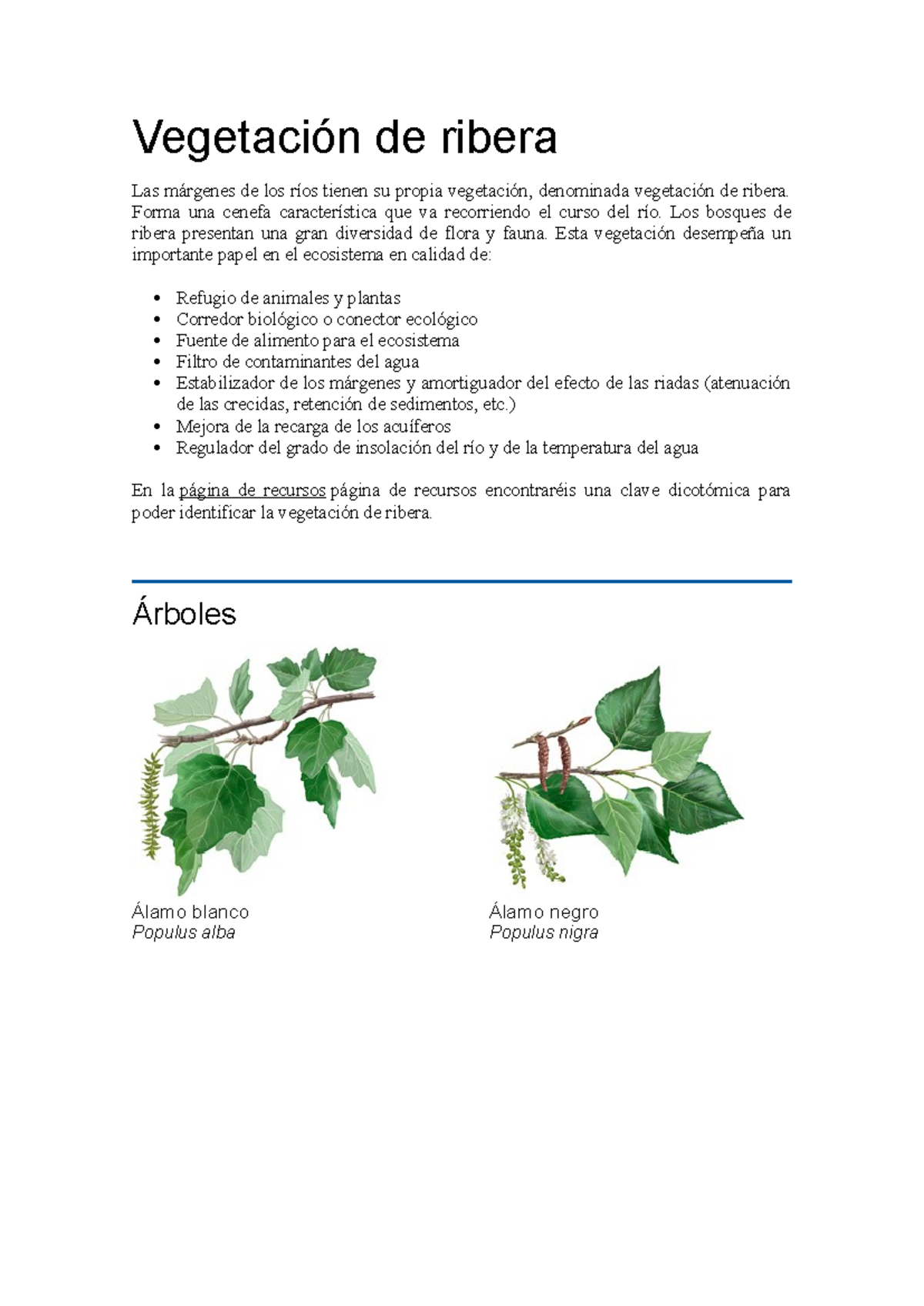 Vegetación de Ribera: Diversidad y Especies Adaptadas - Studocu