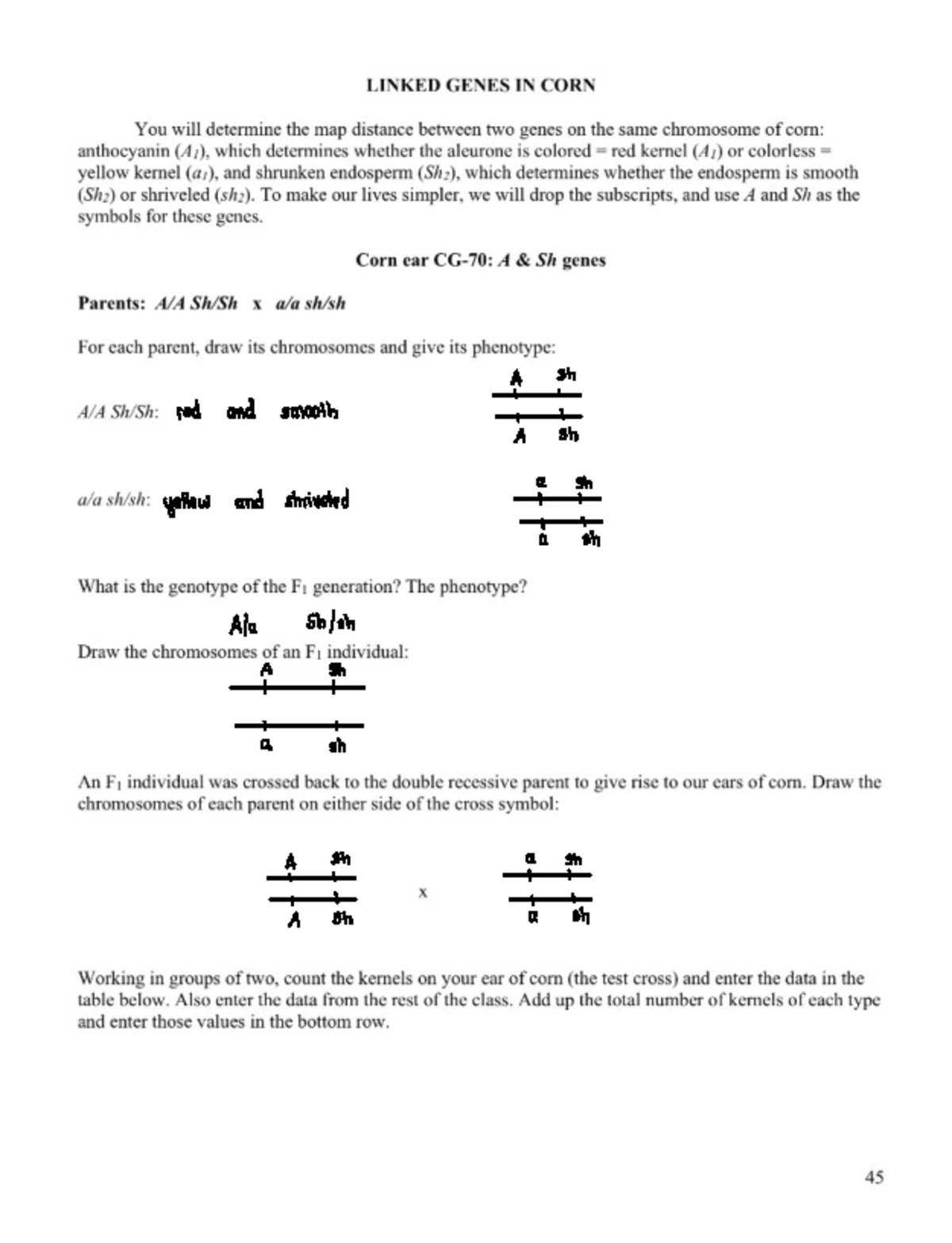 Calc 2 Spring - Detailed Class Notes on Area and Curves - Studocu