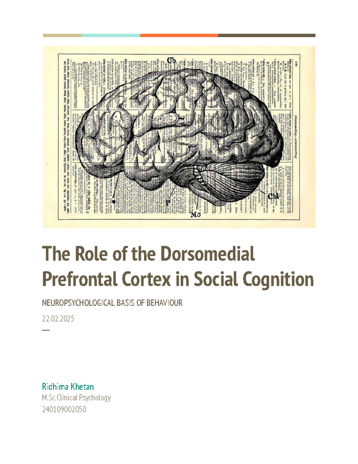 The Role of Dorsomedial Prefrontal Cortex in Social Cognition - - Studocu