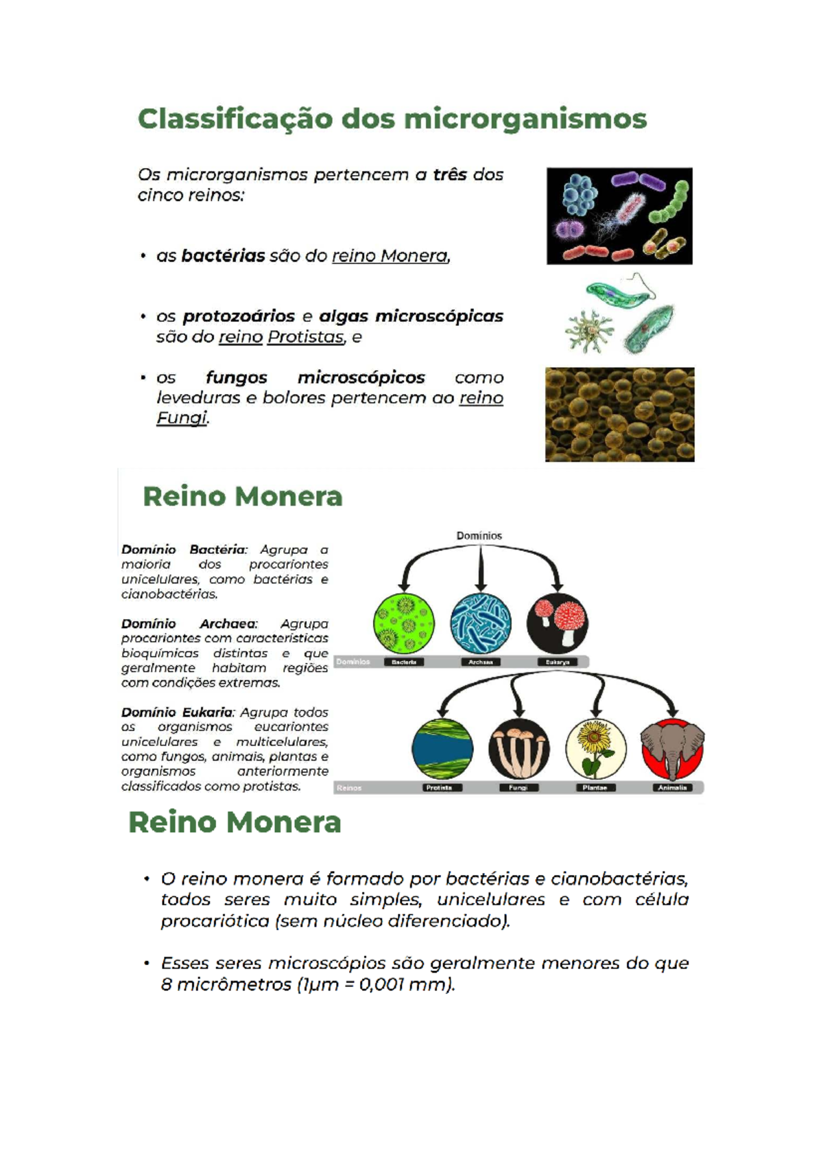 Classificação dos Microrganismos: Reino Monera e Seus Domínios - Studocu