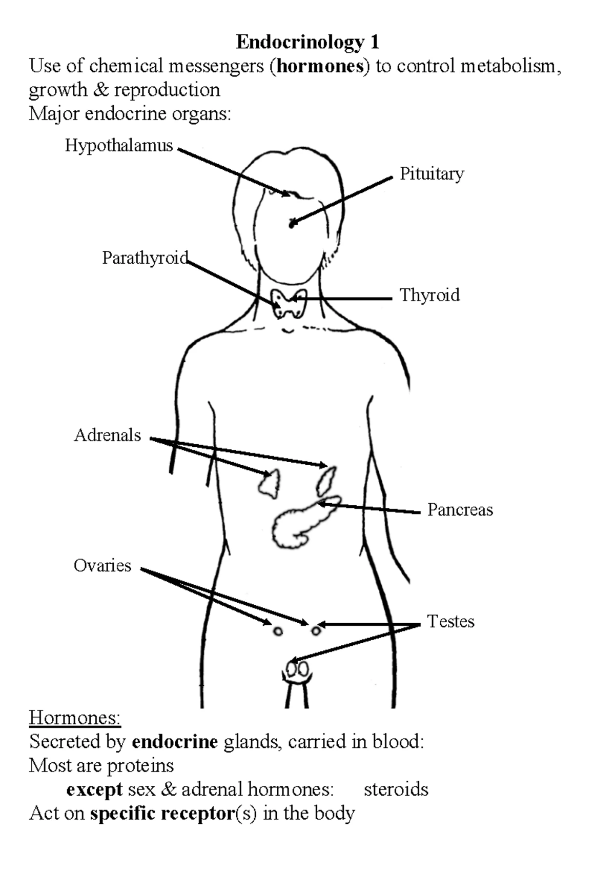 Reproduction-endocrinology 2 - Reproduction 2 Female Ovaries (ovarian ...