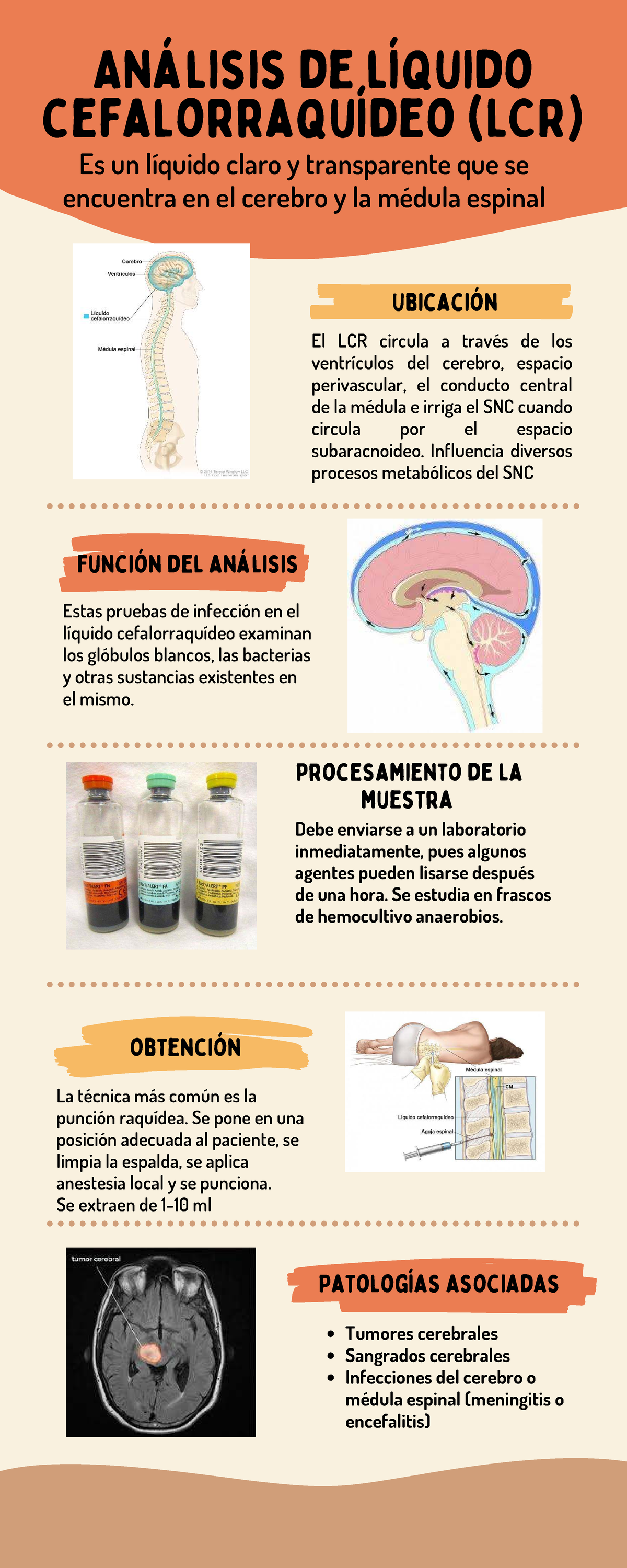 Líquido Cefalorraquídeo: Generalidades - Ubicación Estas pruebas de ...