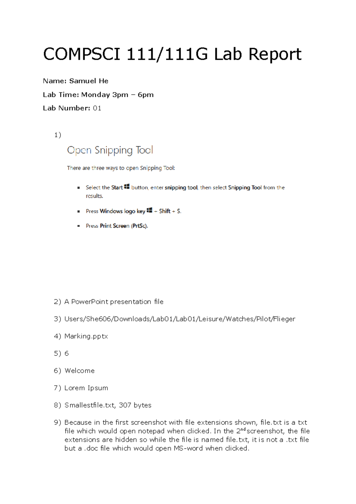 COMPSCI Lab Report 01: File Management & Email Protocols - Studocu