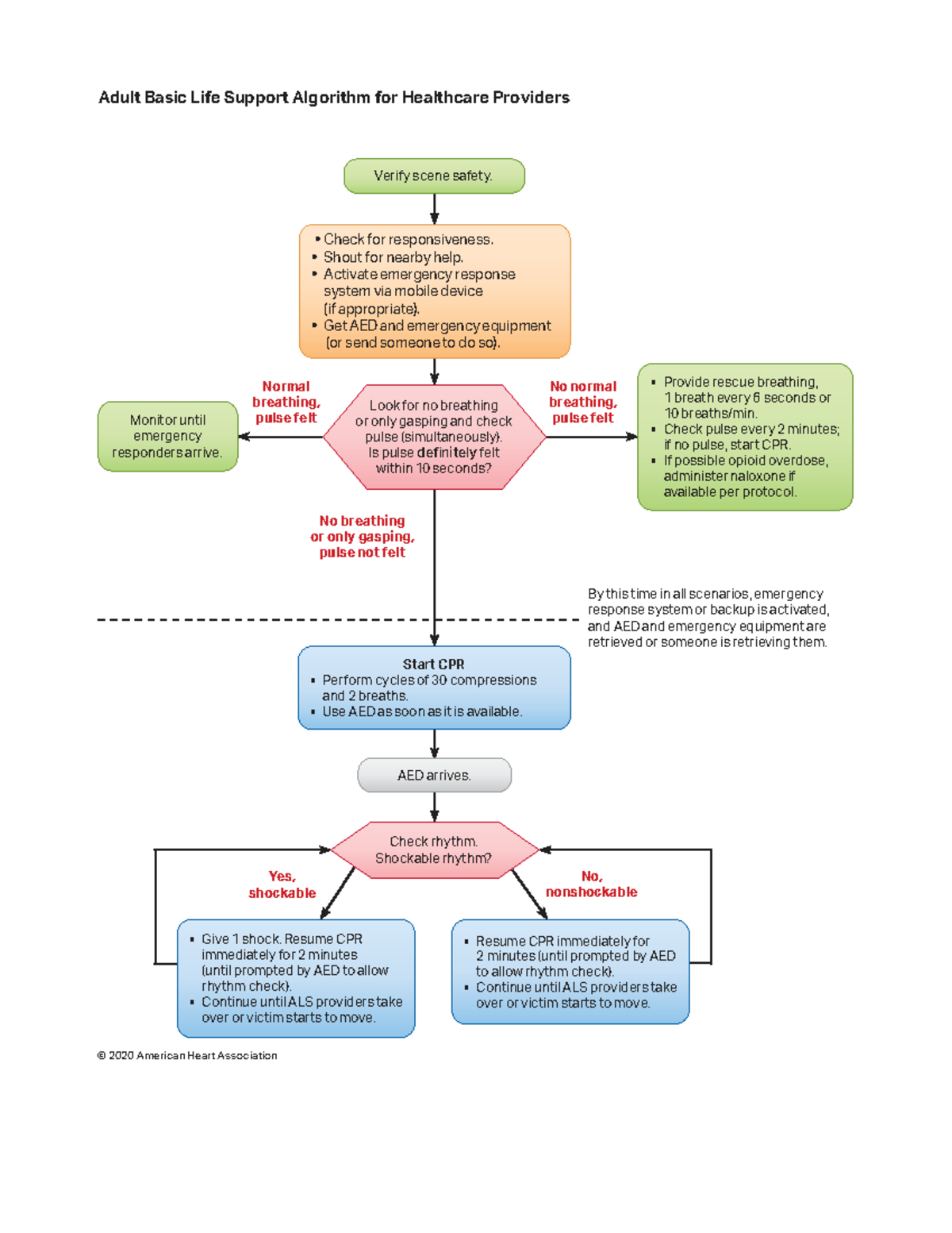 Adult BLS Algorithm for Healthcare Providers: 2020 AHA Guidelines
