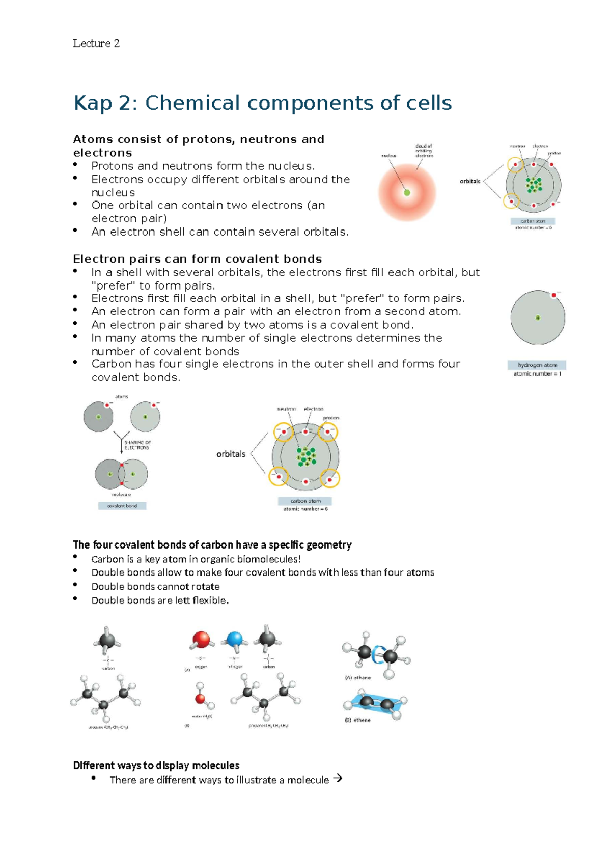 Lecture 2: Chemical Components of Cells and Molecular Interactions ...