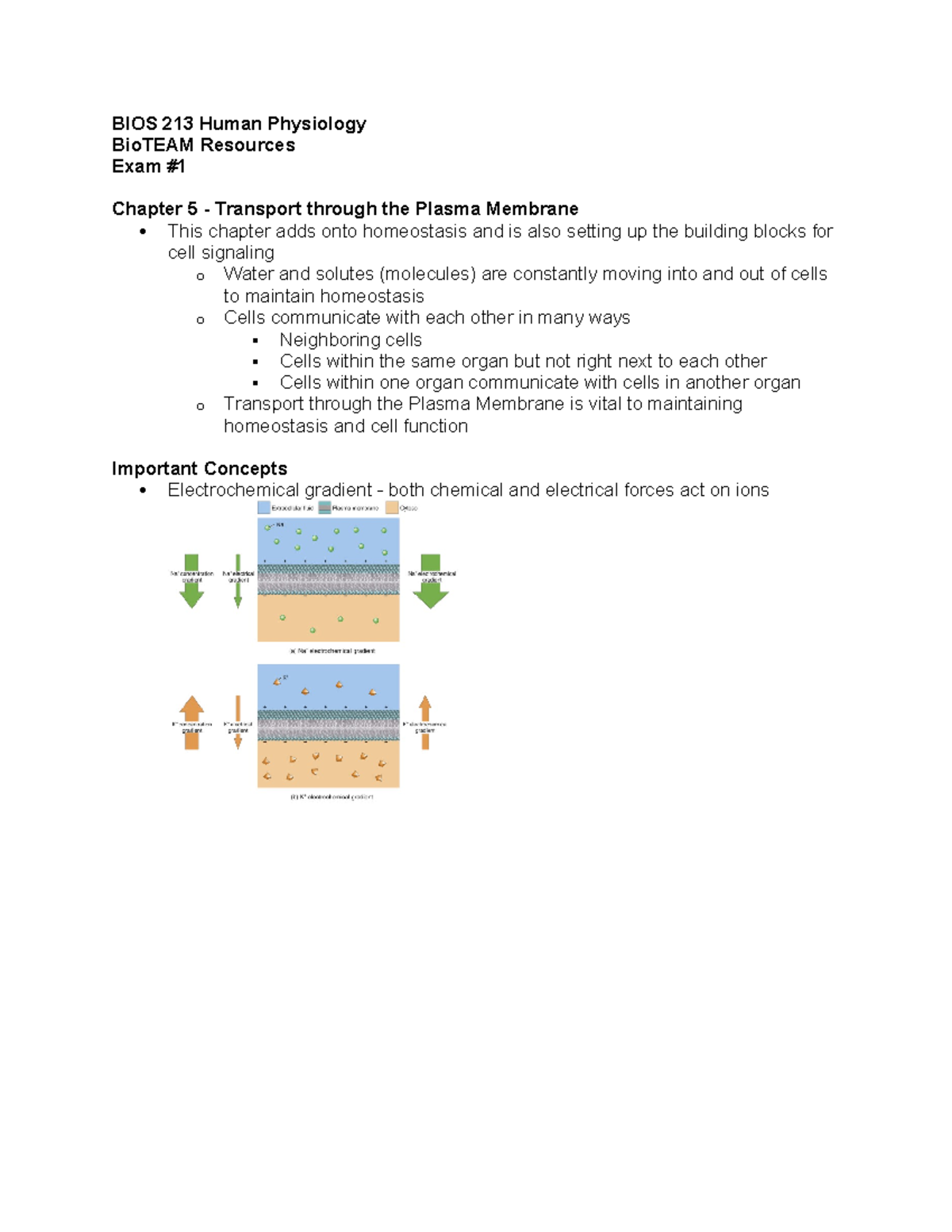 Exam #1 Chapters 5 Bio TEAM Resource Spring 2024 - BIOS 213 Human ...
