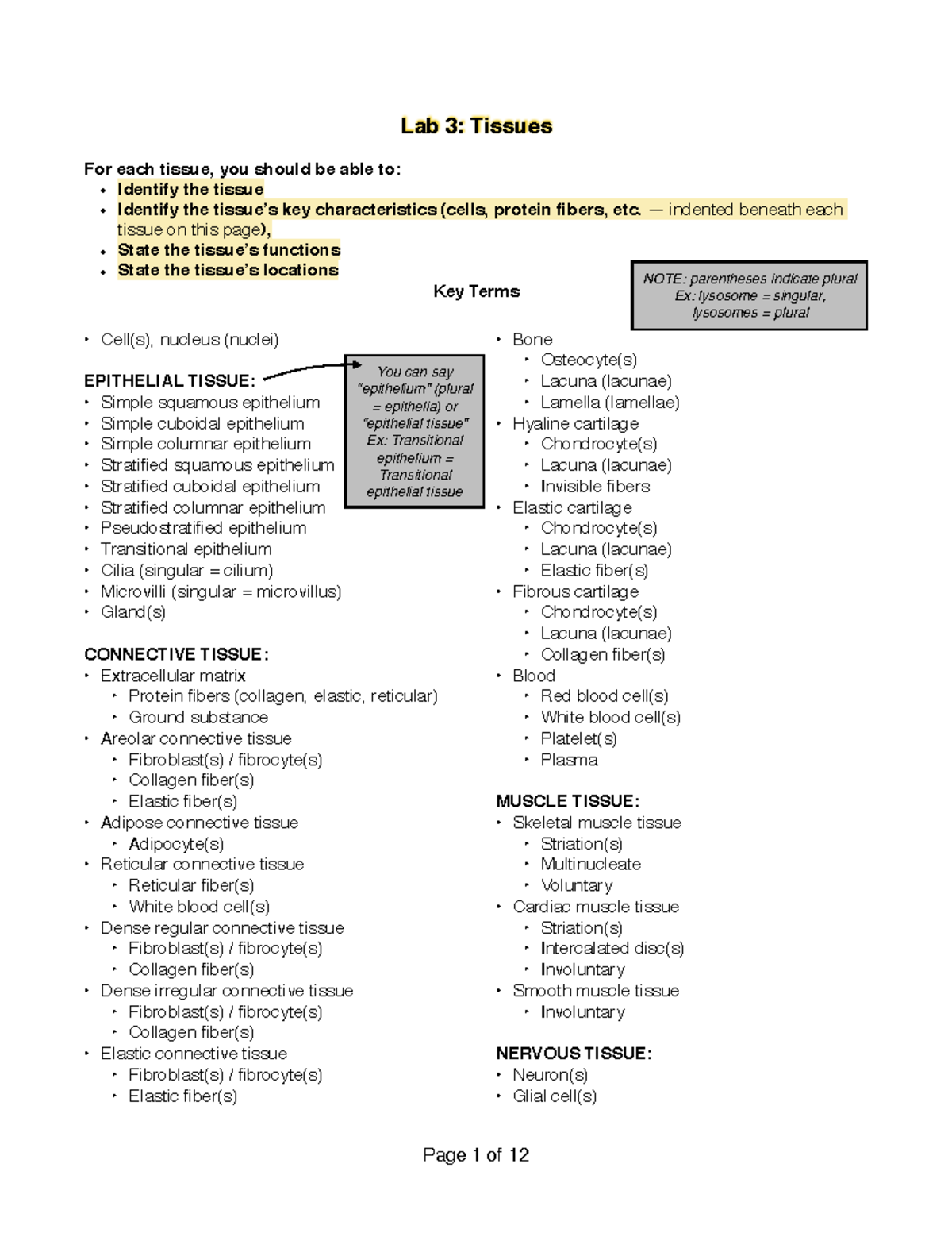Lab 3: Histology of Tissues and Their Functions - Studocu