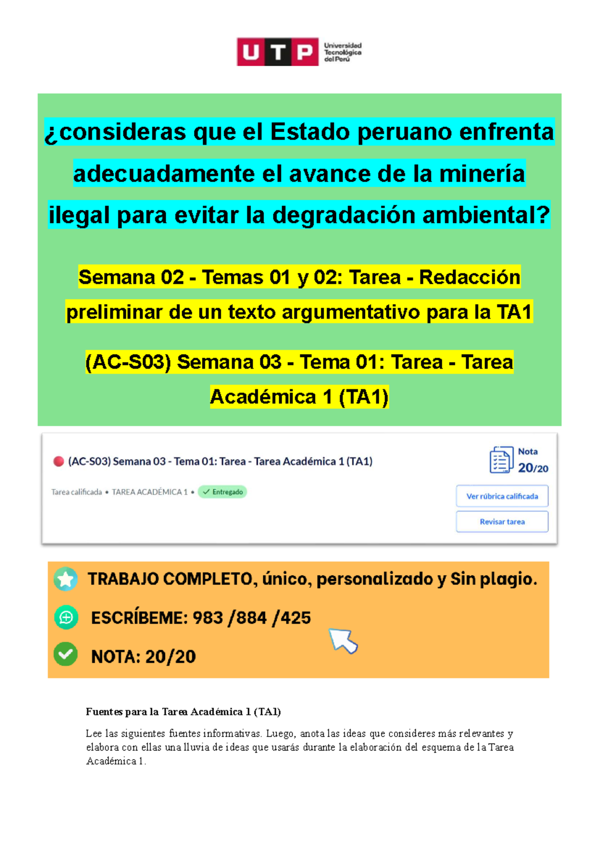 TA1: Análisis del Avance de la Minería Ilegal y su Impacto Ambiental en ...