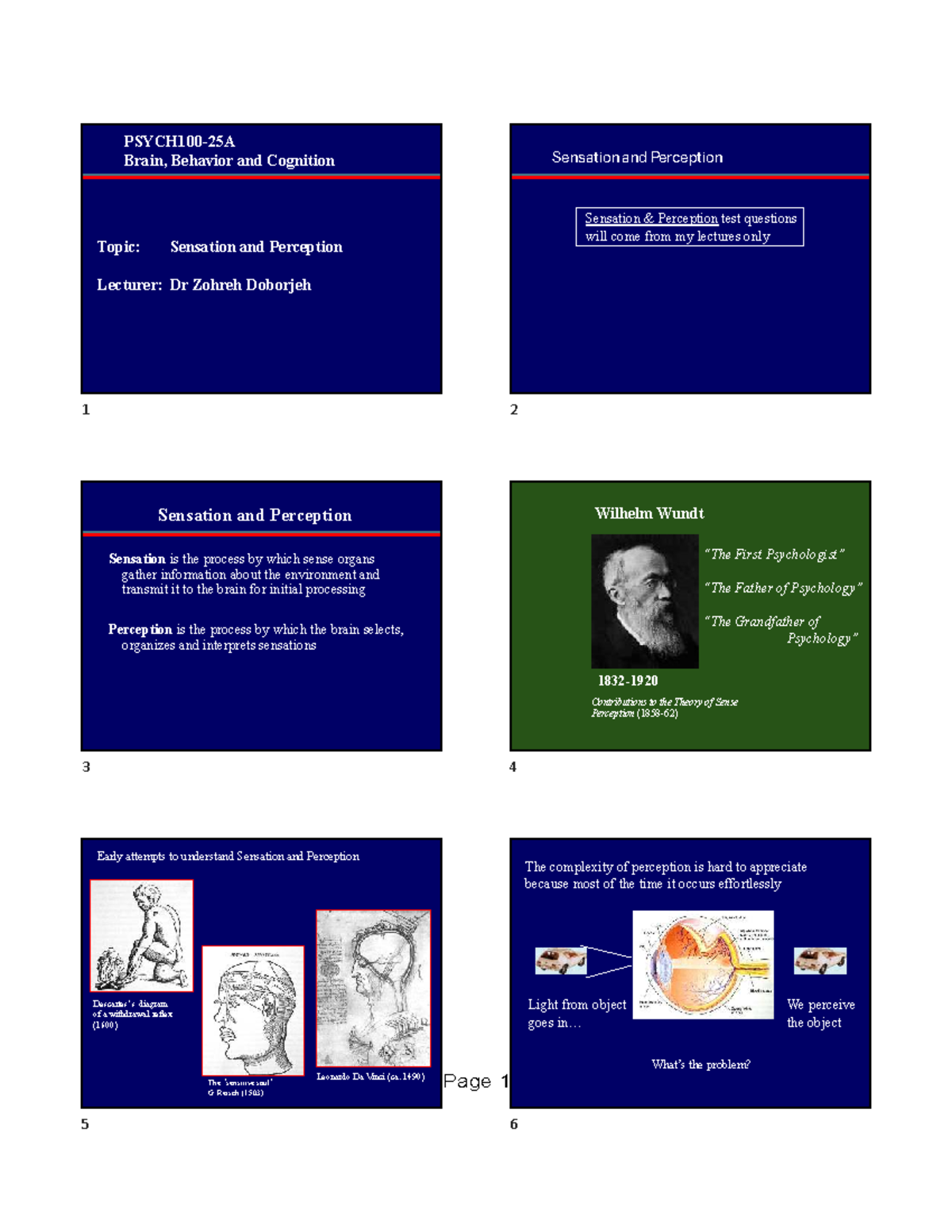 PSYCH100-25A Final Exam Notes: Overview of Sensation & Perception - Studocu