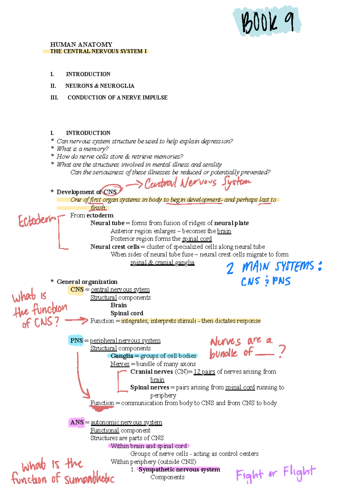 CNS System Pt. 1: Structure and Function of the Central Nervous System ...