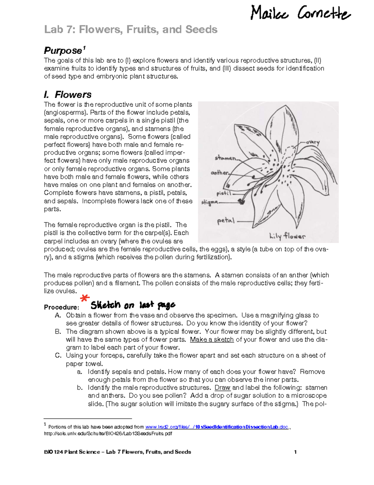 Lab 7: Flowers, Fruits, and Seeds - BIO124 Plant Science Exploration ...