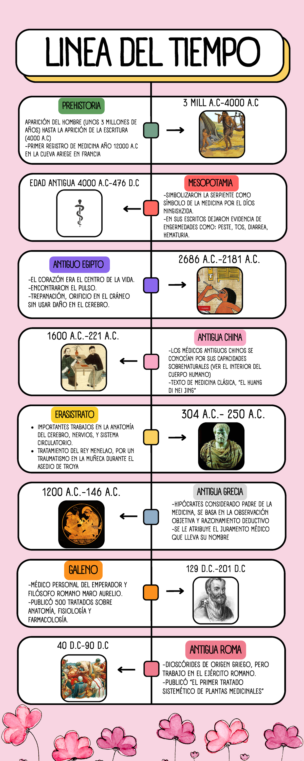 historia-de-la-anatomia-linea-del-tiempo-pdf-anatoma-science