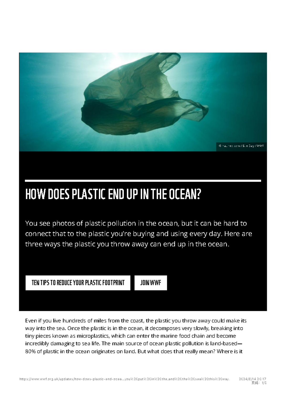 Plastic Pollution in Oceans: WWF Report on Sources & Solutions - Studocu