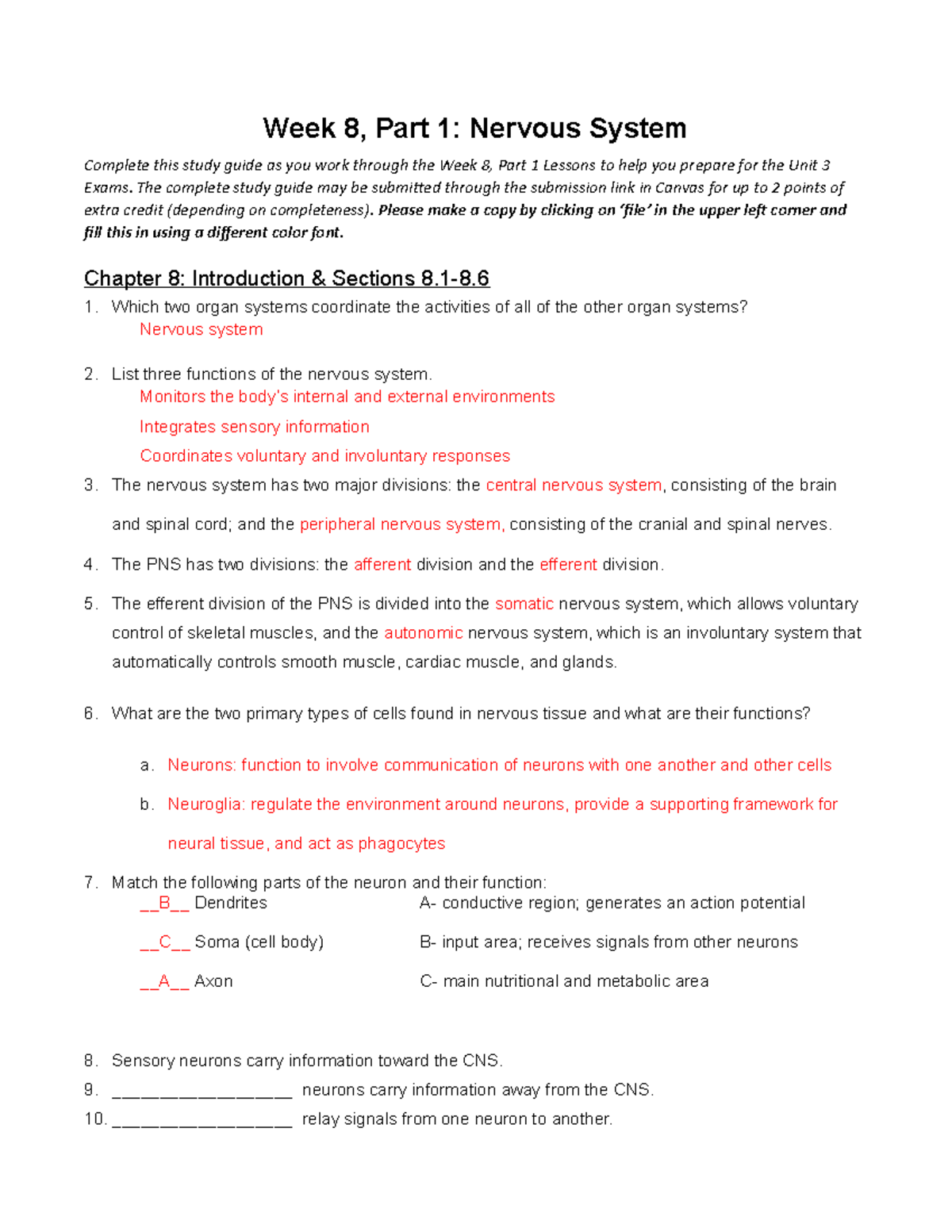 Week 8 Part 1 Nervous System Week 8 Part 1 Nervous System Complete