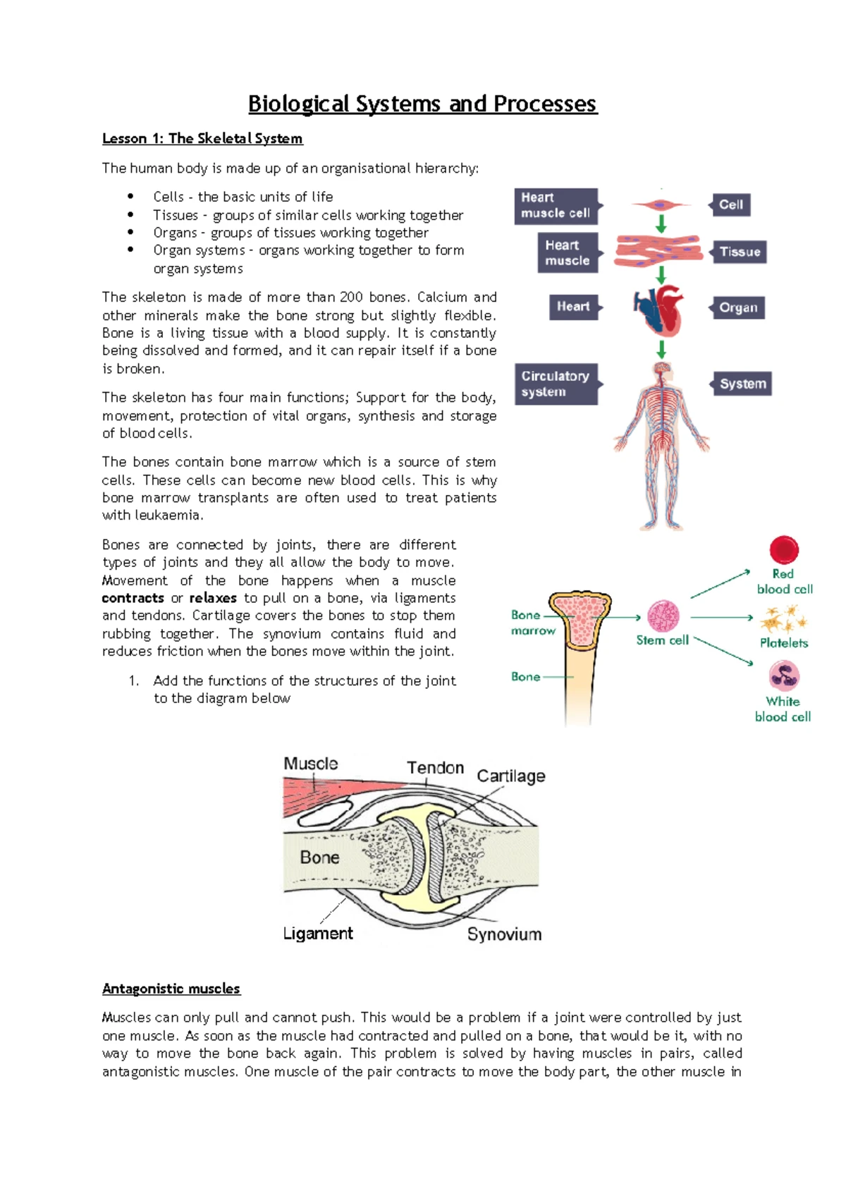 Biology Respiration and Biomolecules: Aerobic & Anaerobic Processes ...