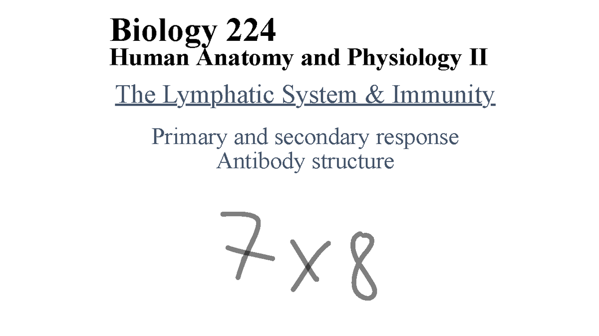 Biology 224: Human Anatomy & Physiology II - Lymphatic System - Studocu
