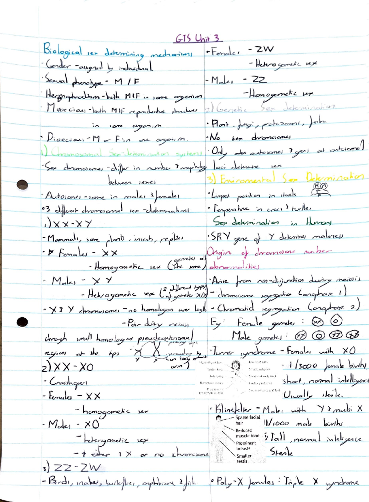 Study Unit 4: Key Concepts and Notes for C.C. Course - Studocu