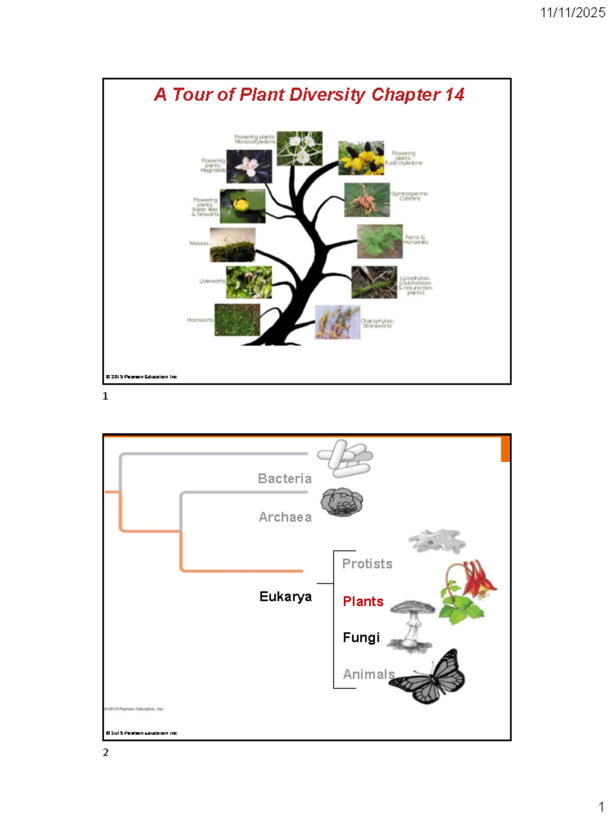 Chapter 14 Lecture: A Tour of Plant Diversity - Studocu